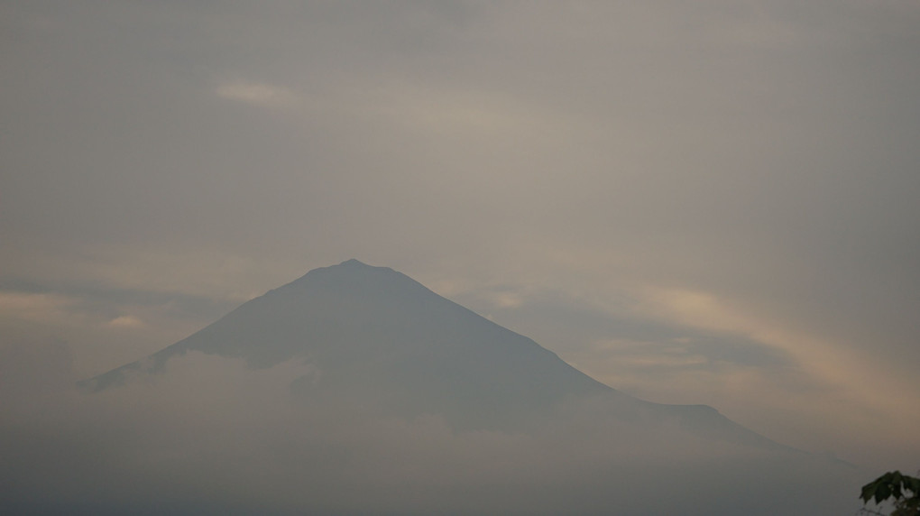 先週からの富士山
