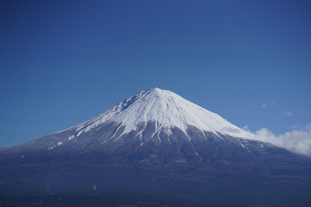 4月も終わり