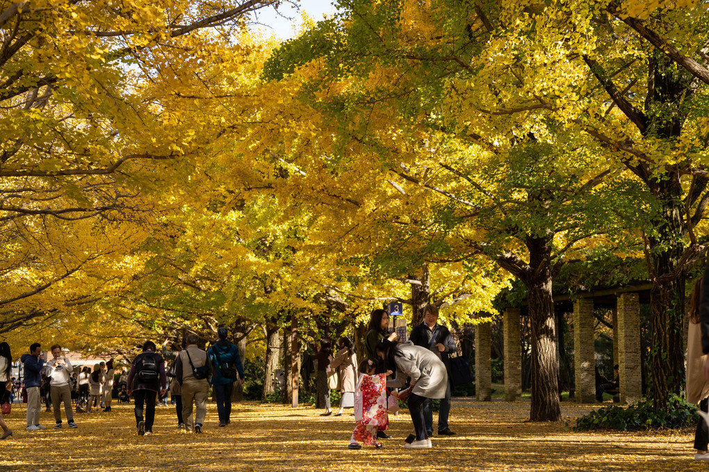 昭和記念公園　秋の午後