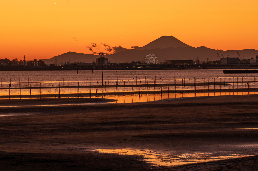 船橋海浜公園夕景