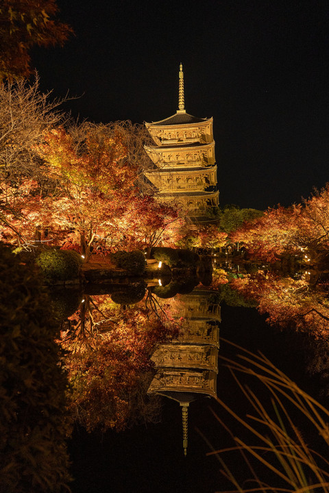 晩秋の東寺