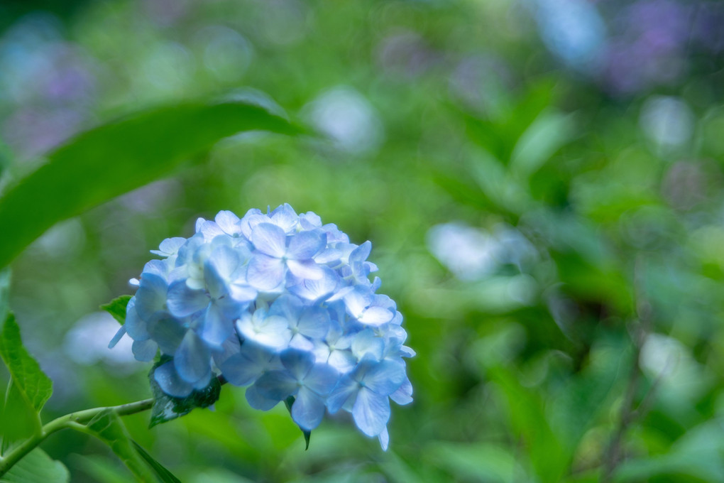 雨あがり