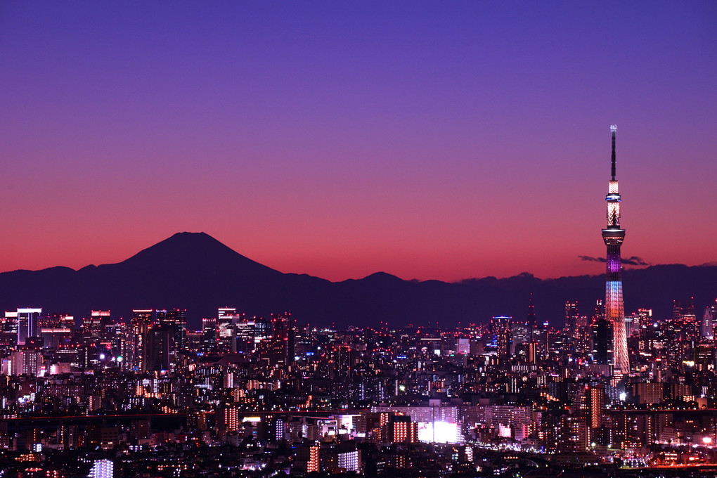 Mt.Fuji × Tokyo Skytree