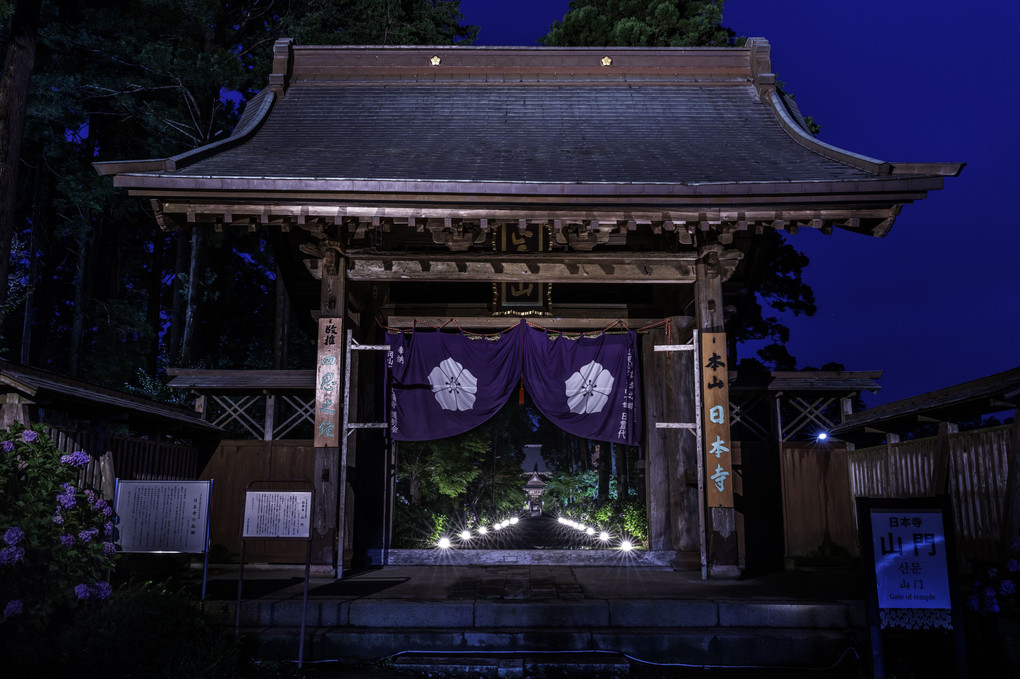 日本寺の紫陽花