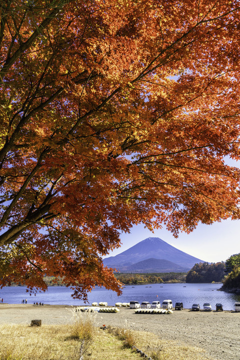 富士山とともに