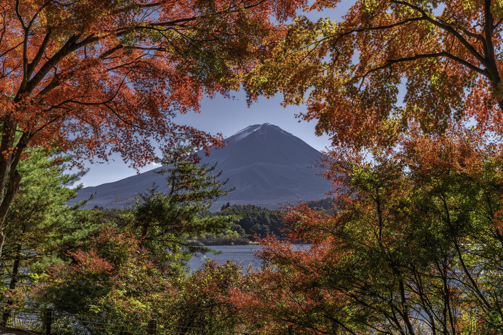 富士山とともに