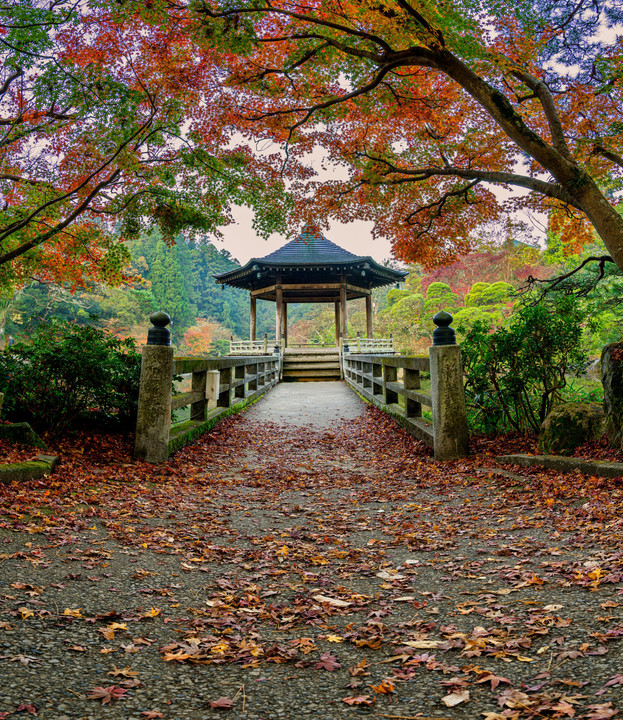 晩秋の成田山公園