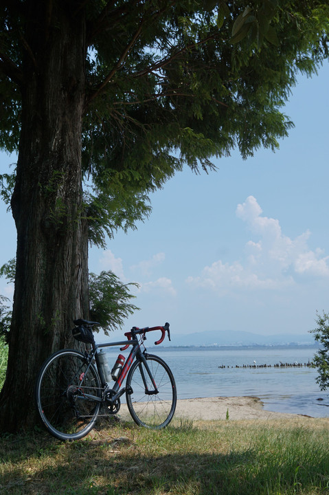 夏の琵琶湖畔