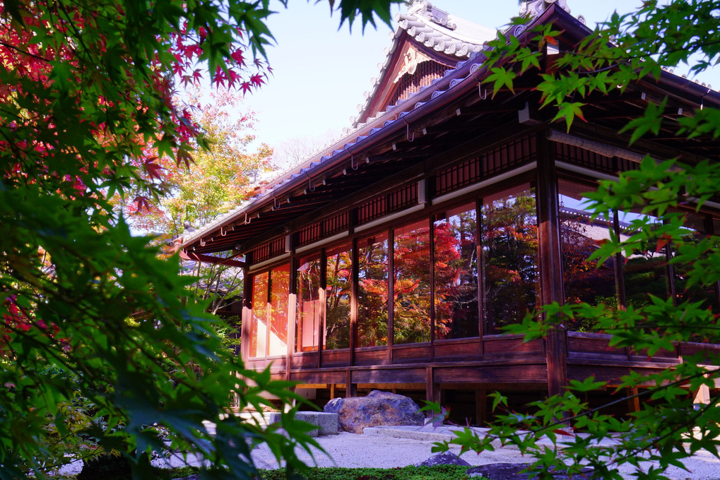 京都・天授庵に遊ぶ。