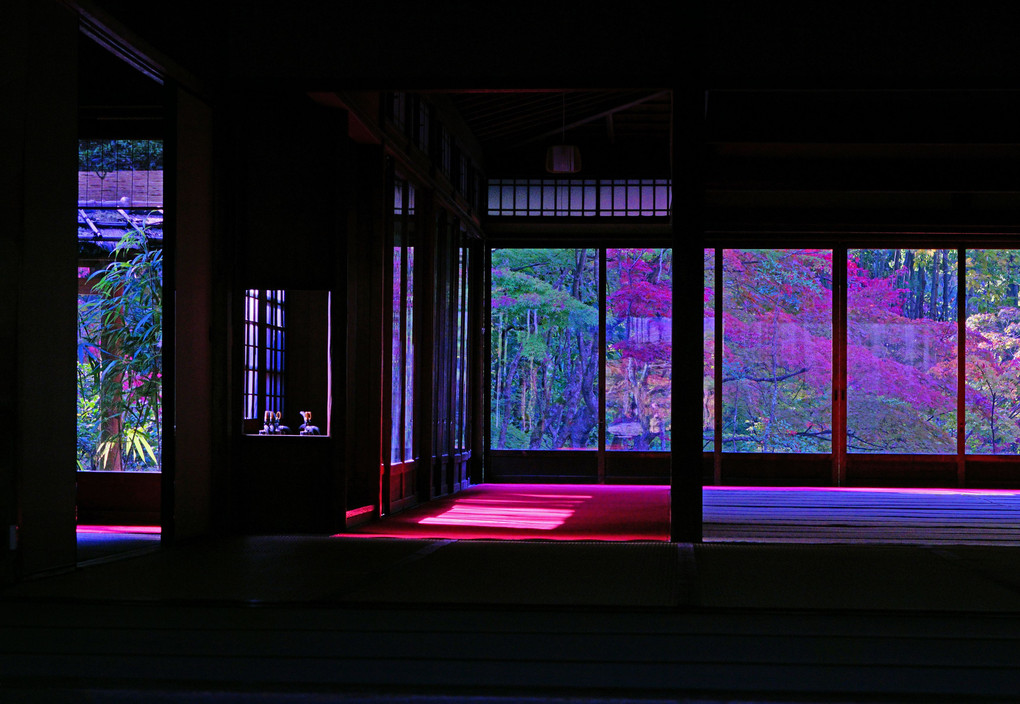 京都・天授庵に遊ぶ。