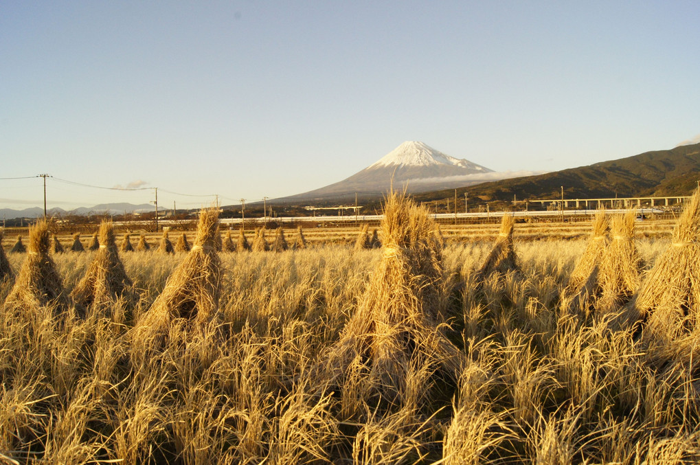 正月の富士と新幹線