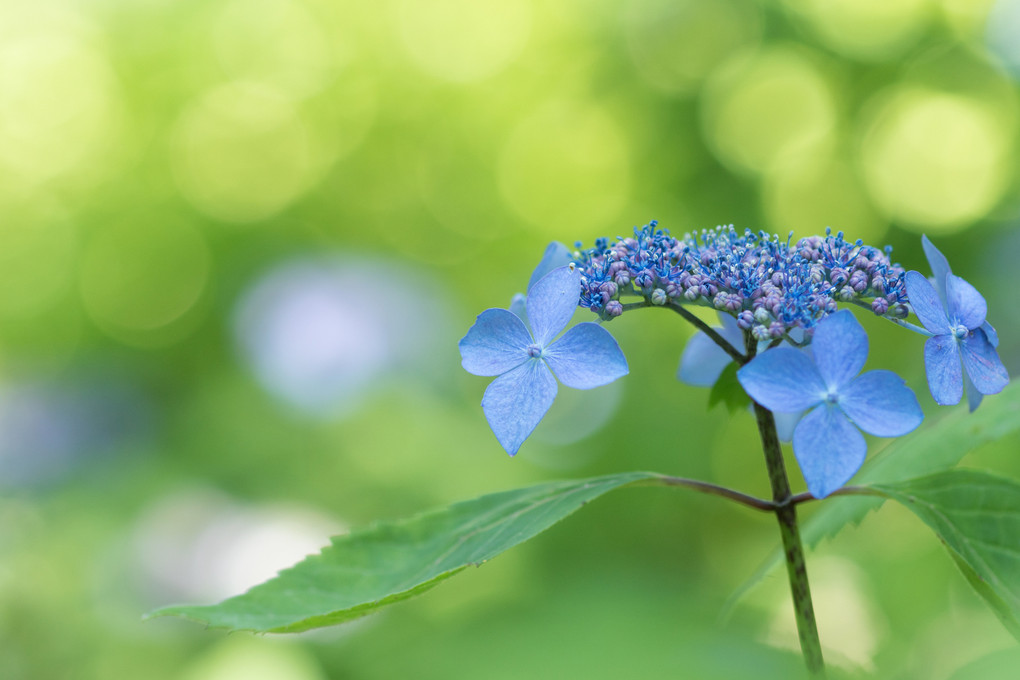 2015年の春夏秋冬