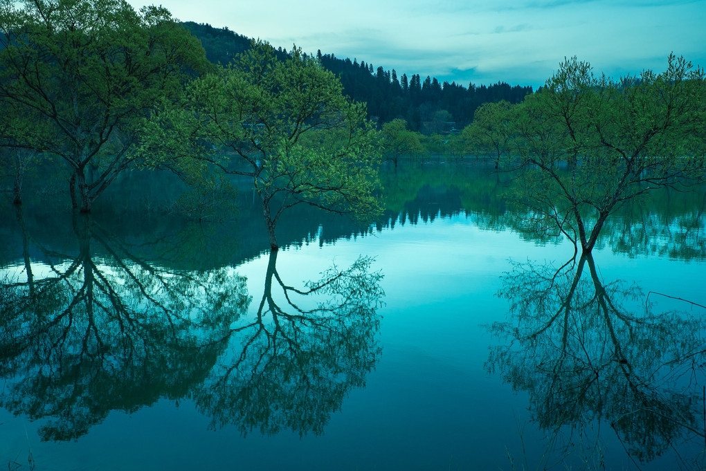 SILENCE ～碧と翠の静寂～