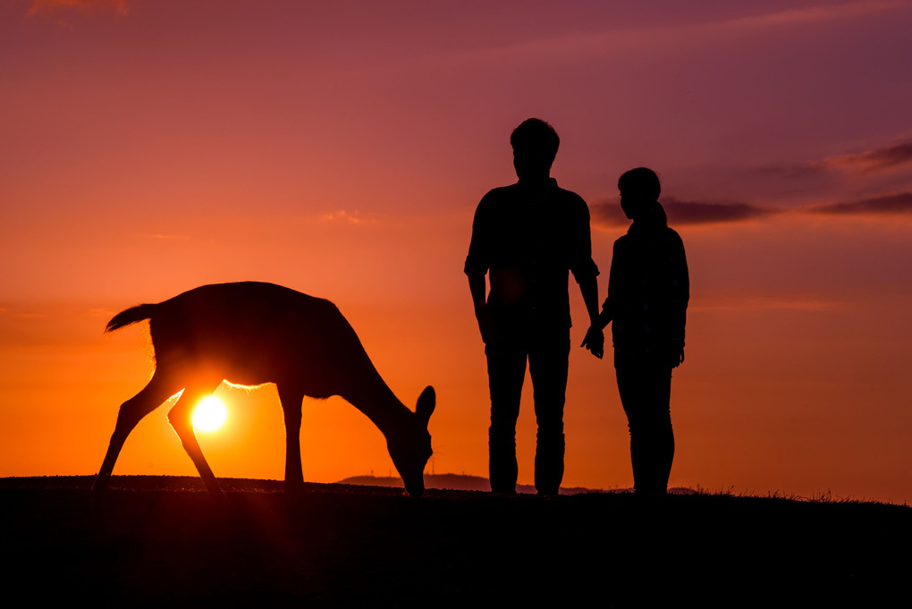 Sunset Stories