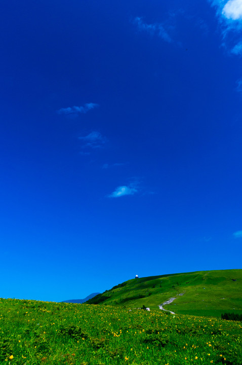 初夏の風景