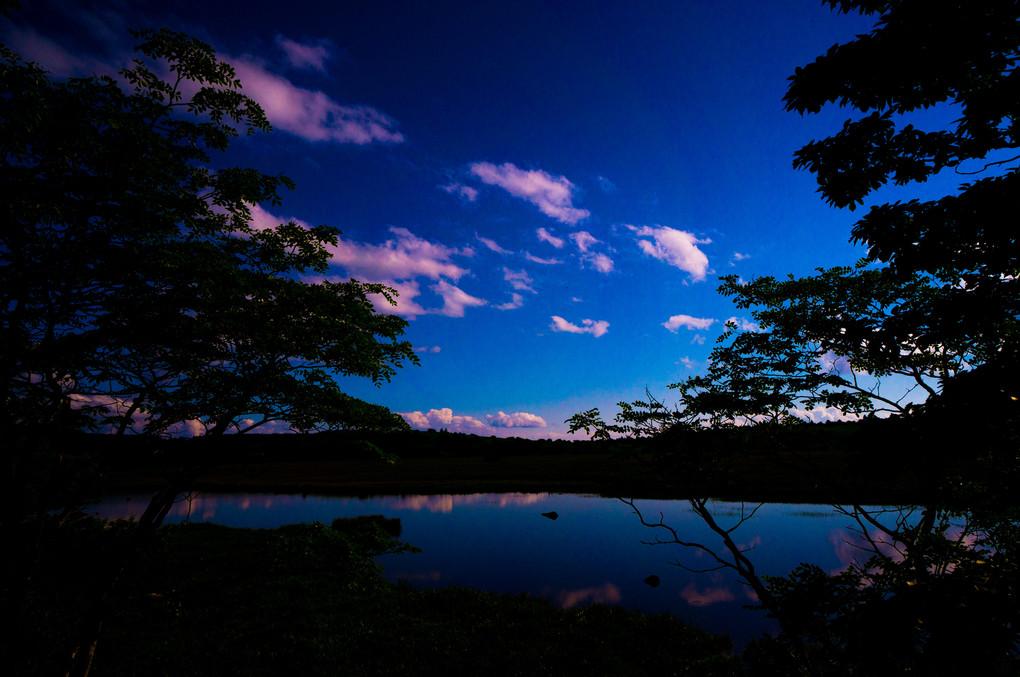 初夏の風景