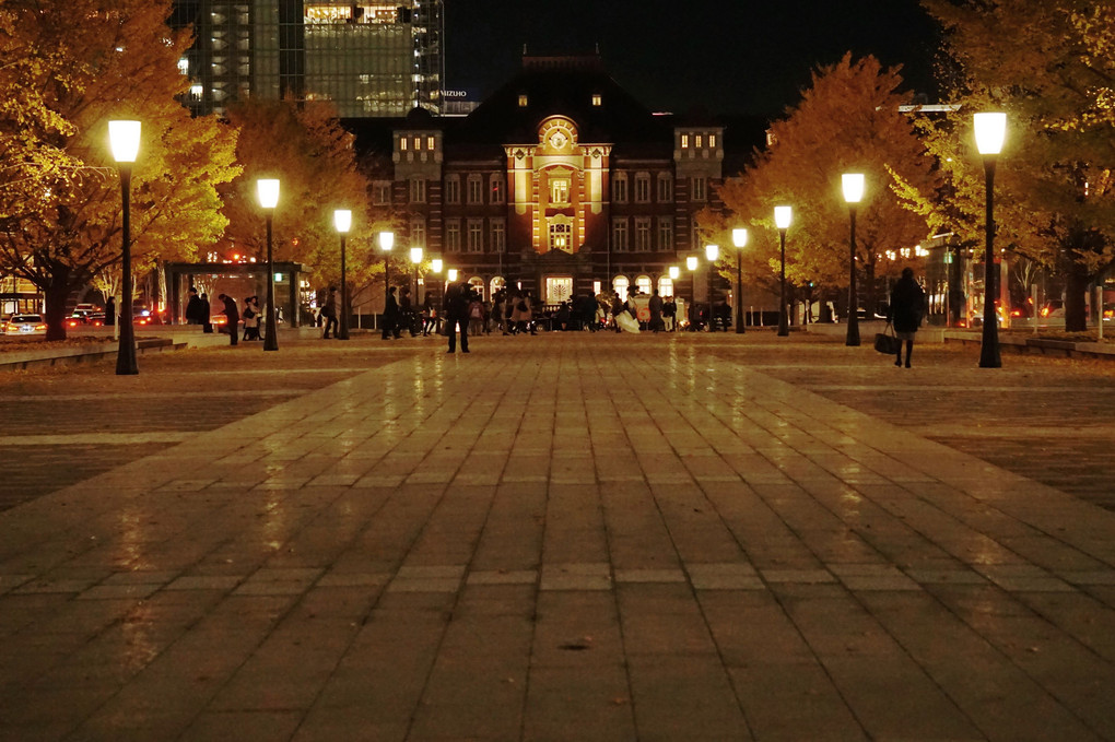 MARUNOUCHI night shot