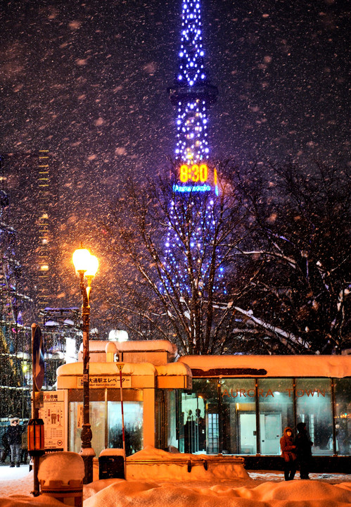 Sapporo with snow