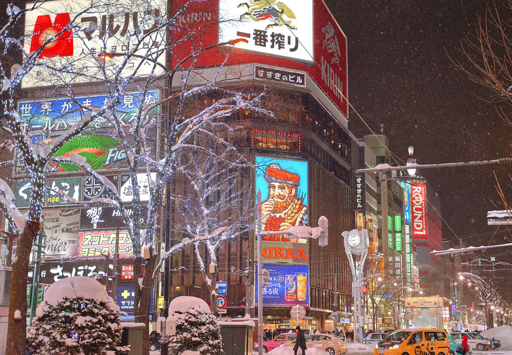 Sapporo with snow
