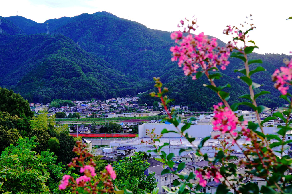 朝と昼、復旧半ばの芸備線。