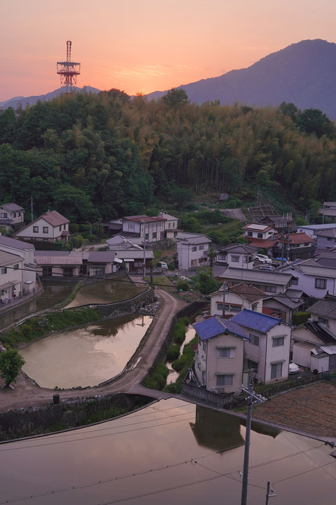 田植え待つ