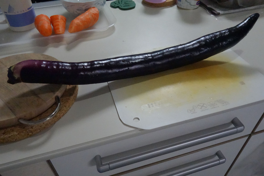 キッチンに巨大ヘビ！