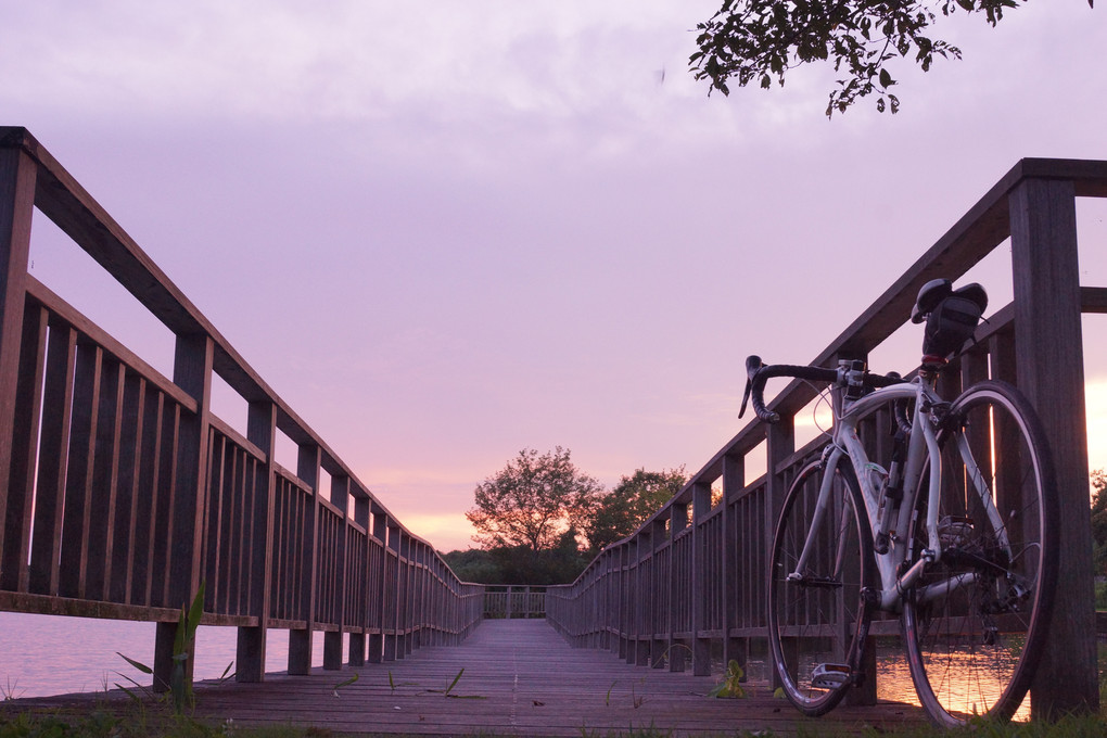 自転車と夕暮れ