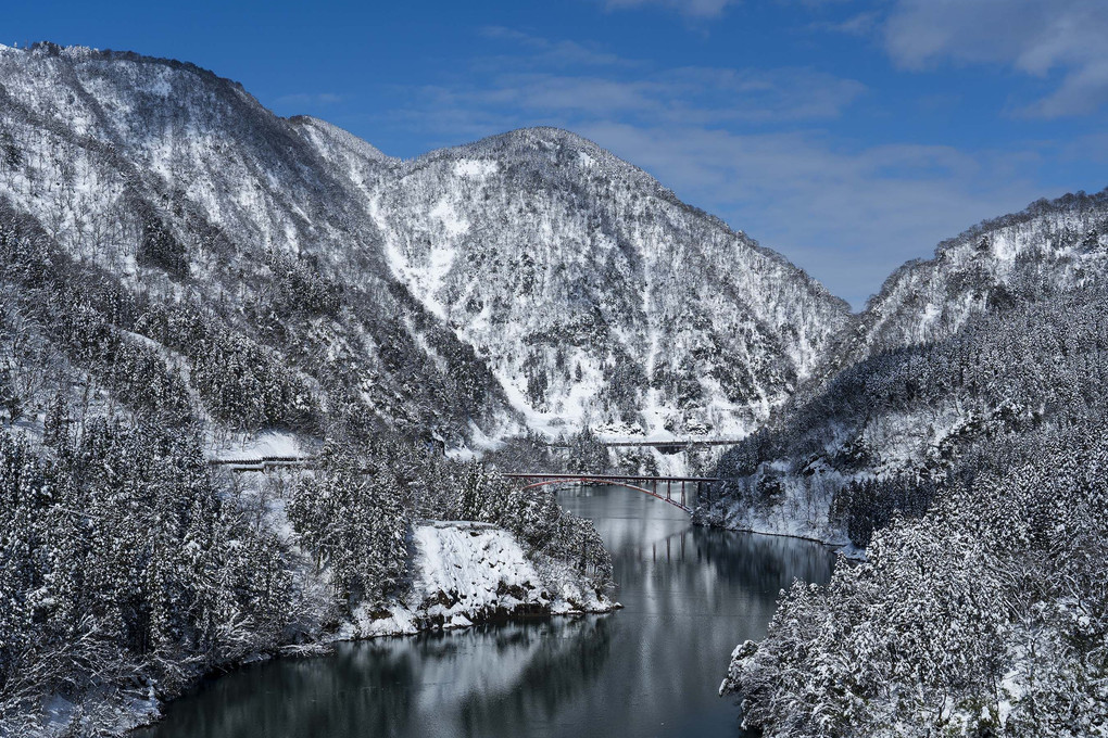 暖雪