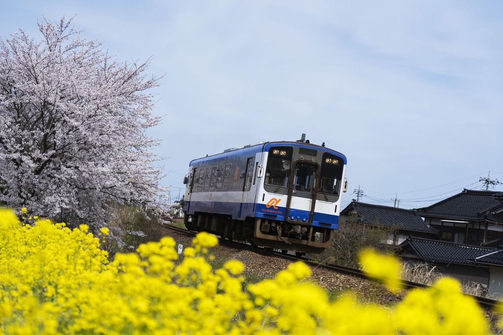 走り抜ける