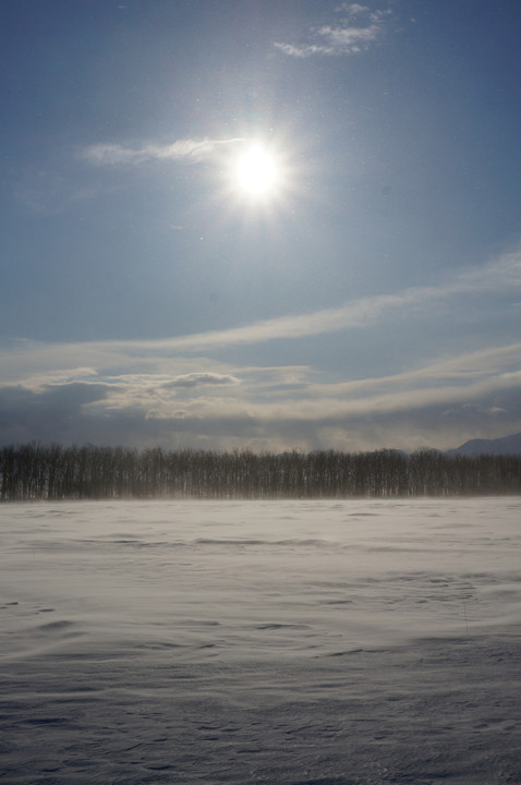 北海道　十勝の冬2015(2)