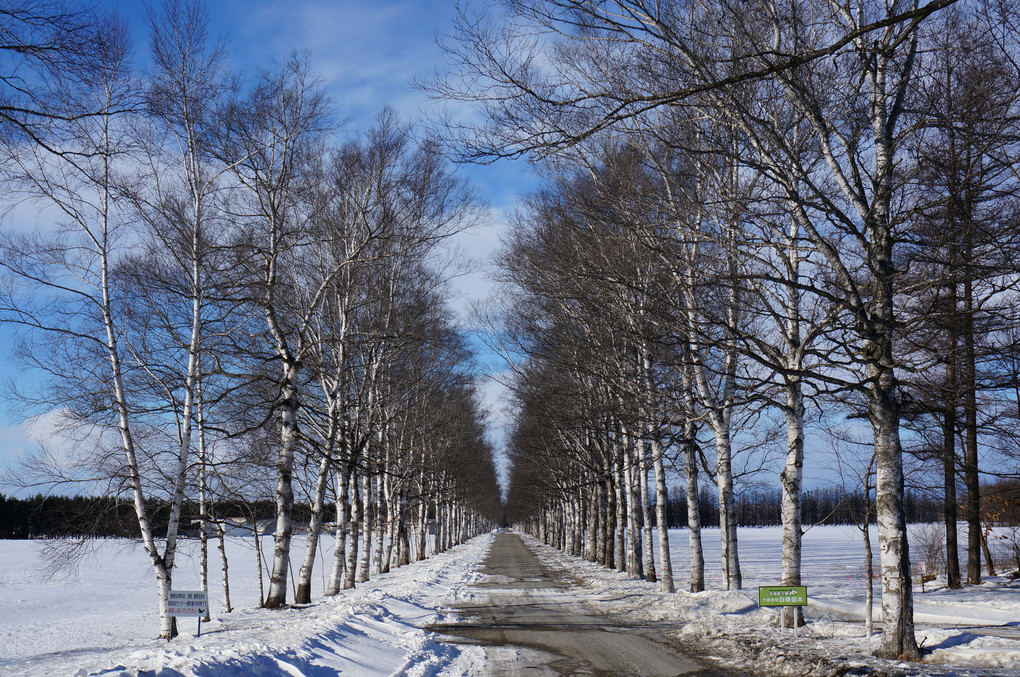北海道　十勝の冬2015