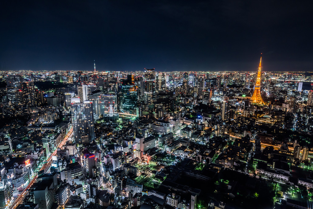 夜のせいくらべ　東京タワーの勝ち　スカイツリーの負け