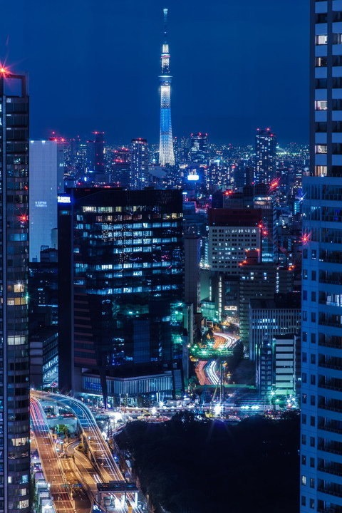 Tokyo City Blue Night