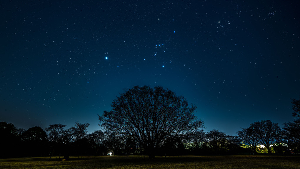 シリウスからプレヤデスへ