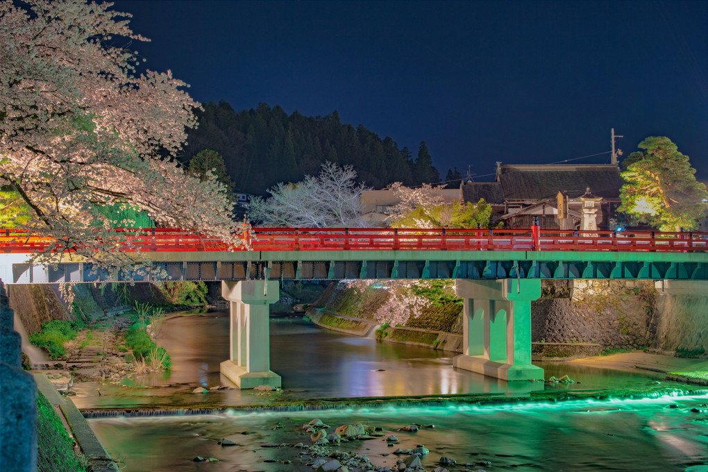 桜赤橋