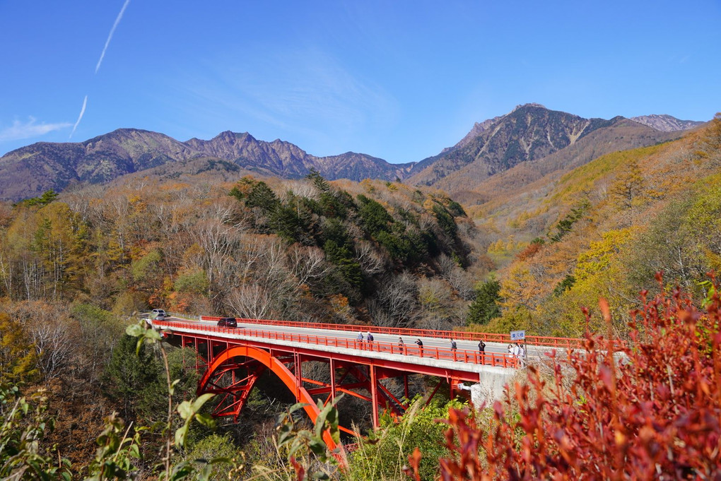 八ヶ岳の紅葉