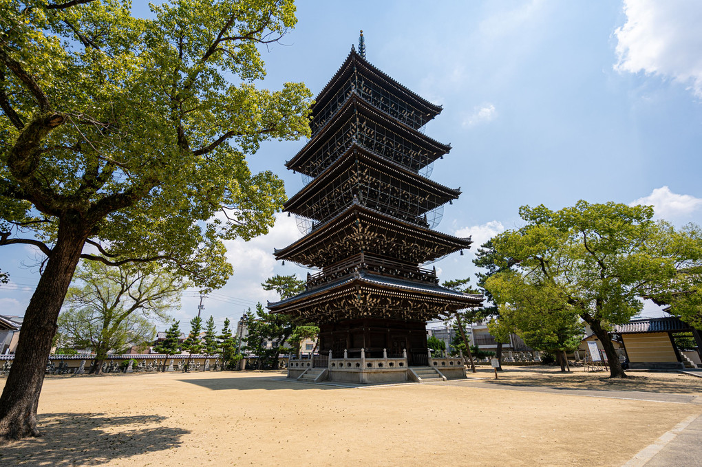 総本山善通寺五重塔