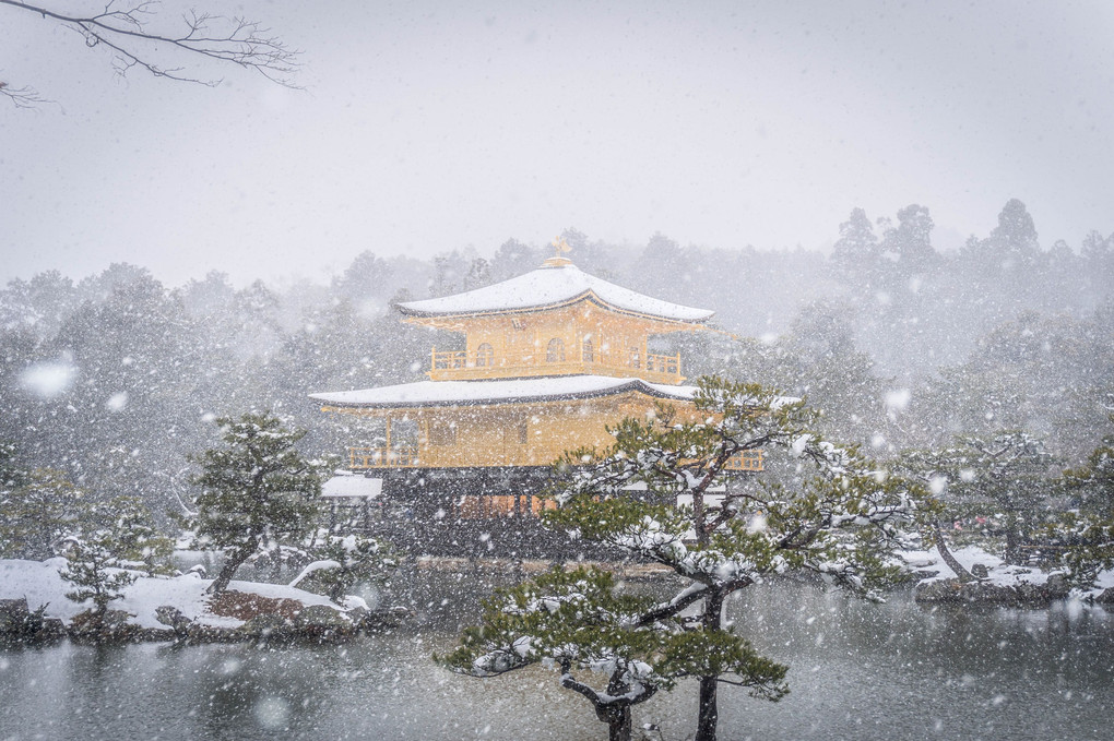 吹雪と金閣寺