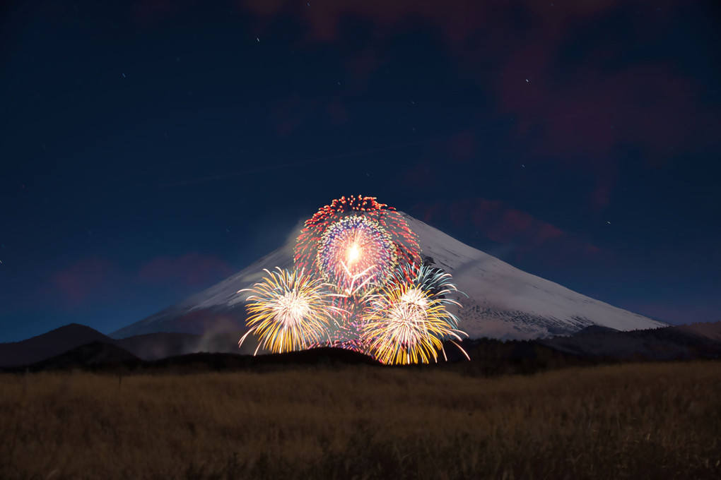 霊峰富士に花が咲く