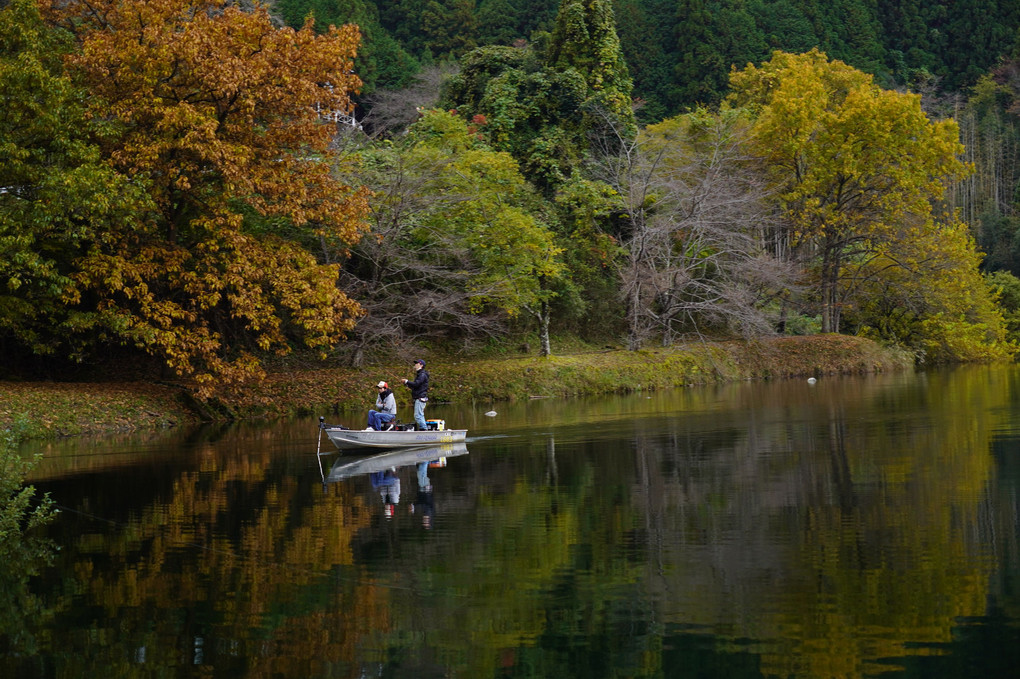 秋の湖畔