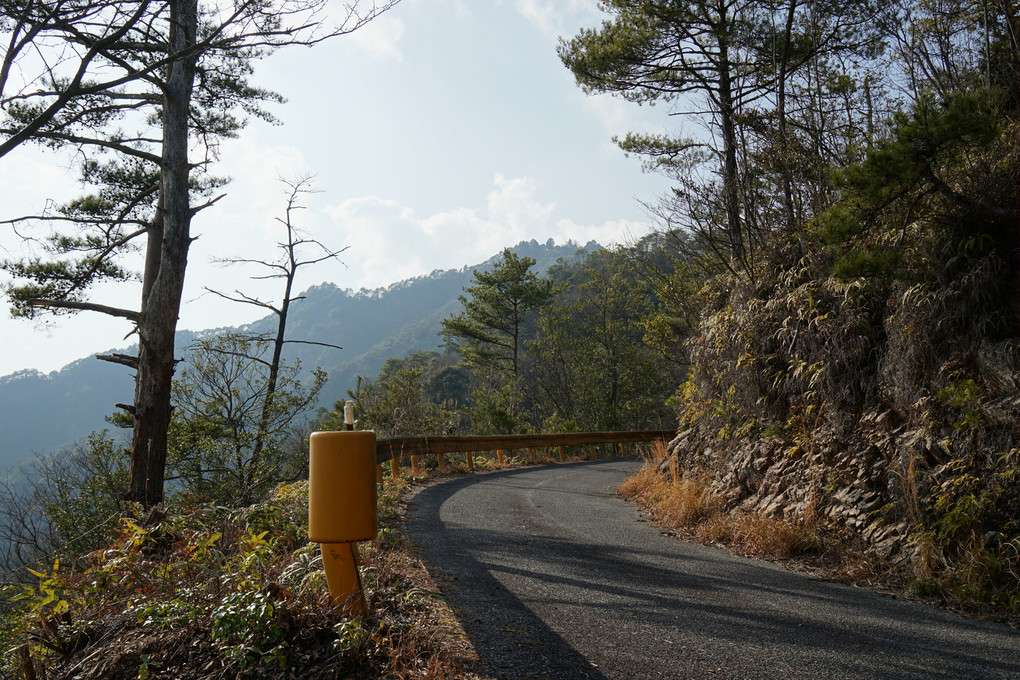 Sanctuary Avenue