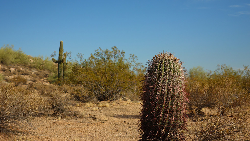 American SouthWest