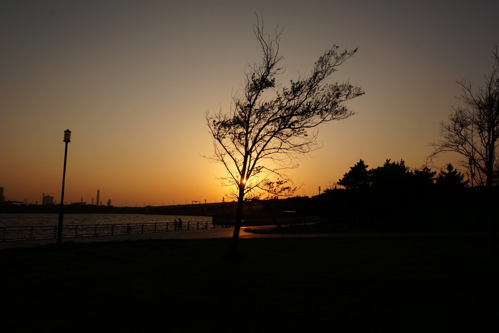 川崎扇島北公園の夕陽