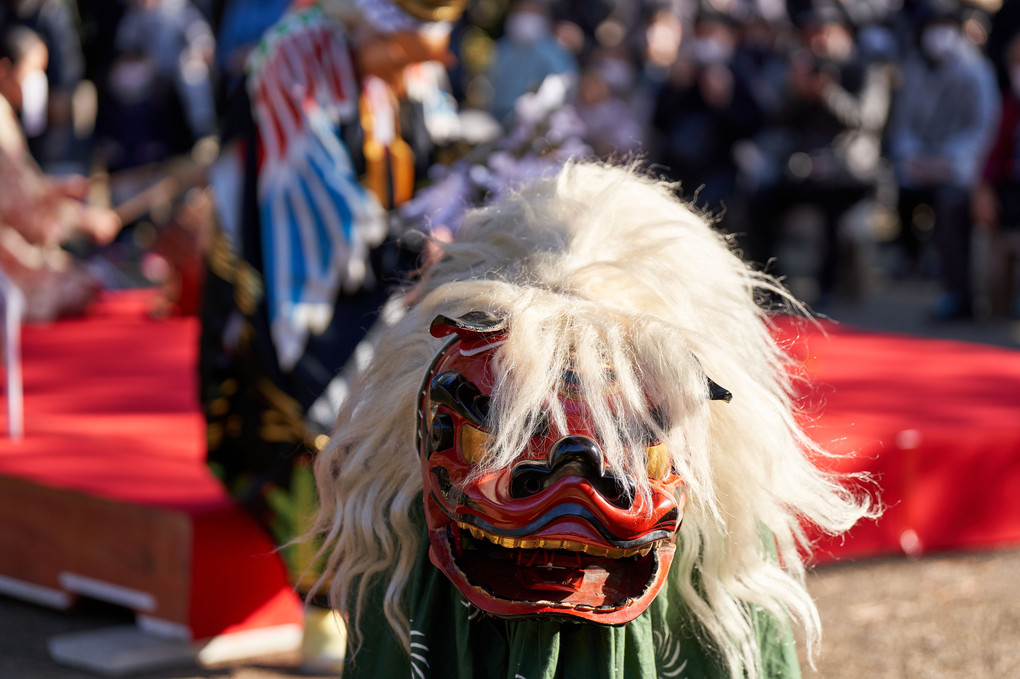 散歩　新年