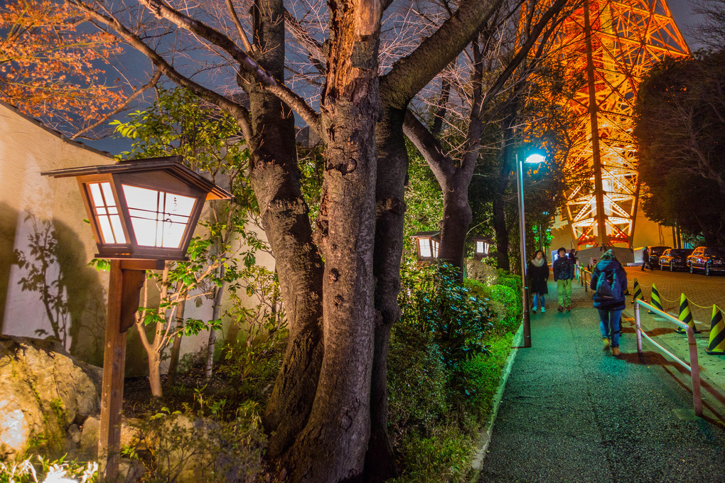 東京タワーのある風景