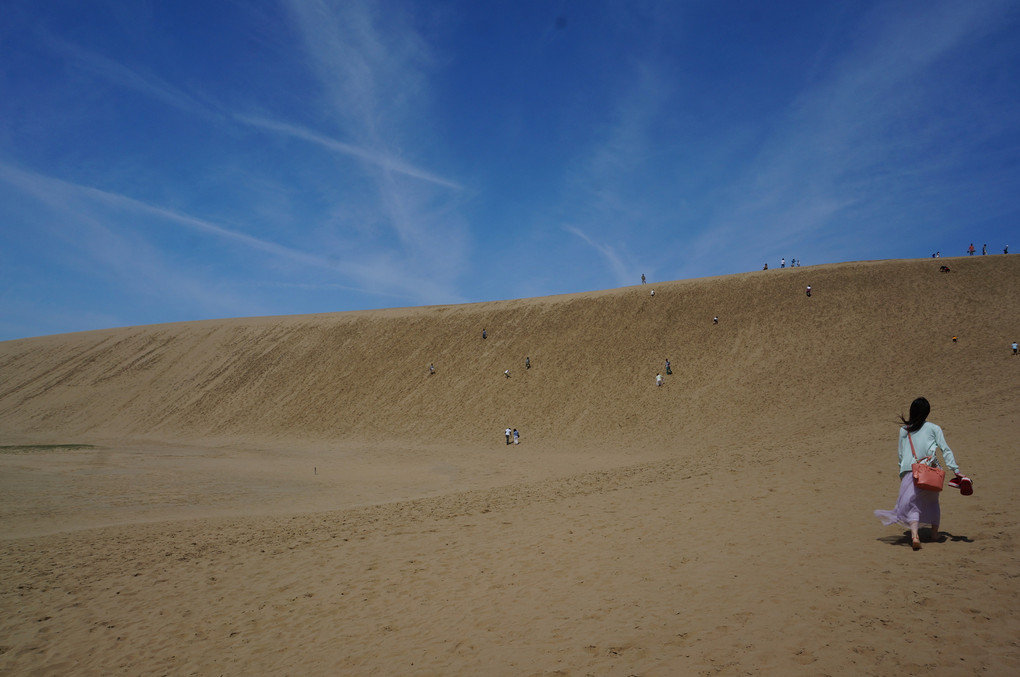 鳥取砂丘　砂丘を登る人々