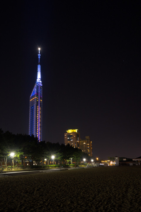 夜の福岡タワー