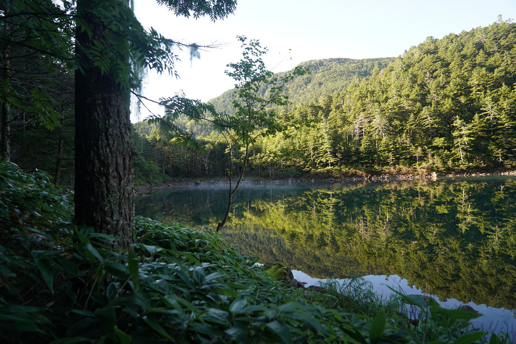 北八ヶ岳の池巡り