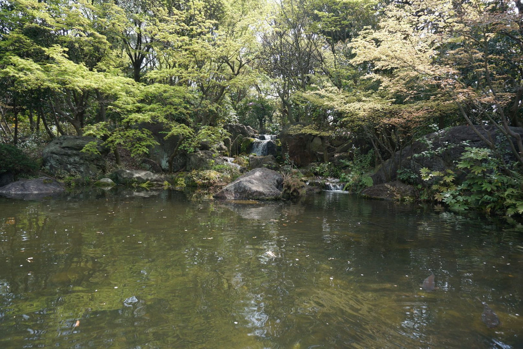 春の陽気