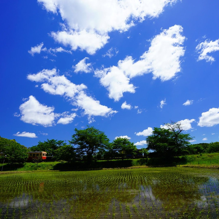 小湊鉄道